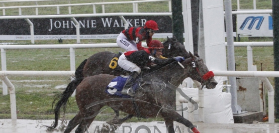 Domingo 14 de enero de 2018 - Hipódromo Nacional de Maroñas