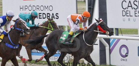 GRAN PREMIO POLLA DE POTRANCAS