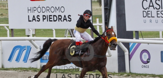 GRAN PREMIO POLLA DE POTRILLOS