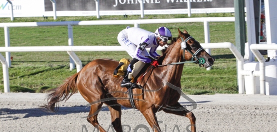 Viernes 19 de enero de 2018 - Hipódromo Nacional de Maroñas