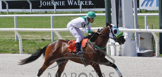 Domingo 21 de enero de 2018 - Hipódromo Nacional de Maroñas