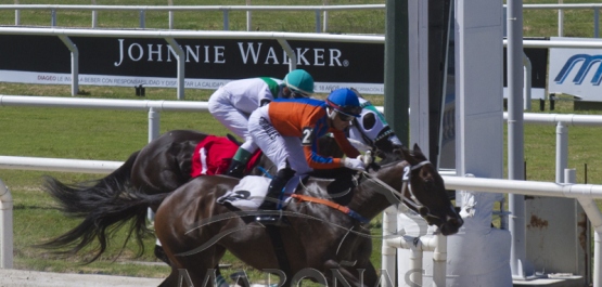 Domingo 28 de enero de 2018 - Hipódromo Nacional de Maroñas