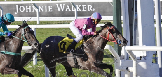 Viernes 2 de febrero de 2018 - Hipódromo Nacional de Maroñas
