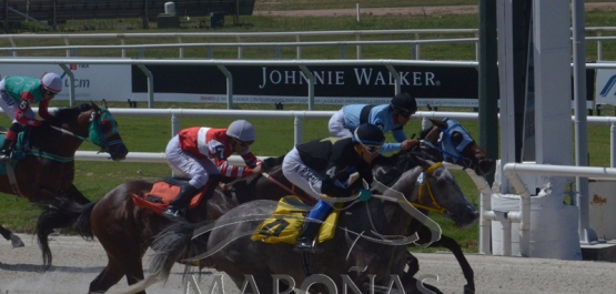 Sábado 3 de febrero de 2018 - Hipódromo Nacional de Maroñas