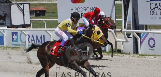 Domingo 4 de febrero de 2018 - Hipódromo Las Piedras