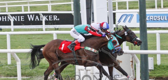 Viernes 9 de febrero de 2018 - Hipódromo Nacional de Maroñas