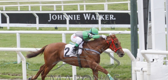 Domingo 11 de febrero de 2018 - Hipódromo Nacional de Maroñas