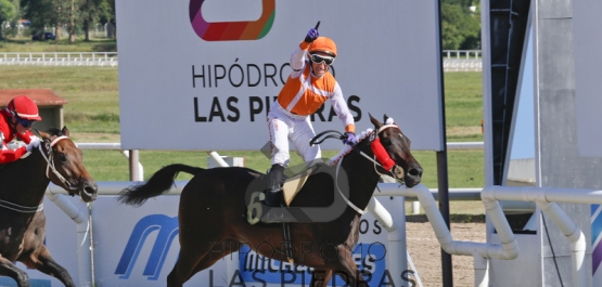 CLÁSICO GRAN PREMIO SELECCIÓN