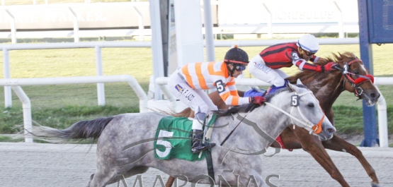 Viernes 16 de febrero de 2018 - Hipódromo Nacional de Maroñas