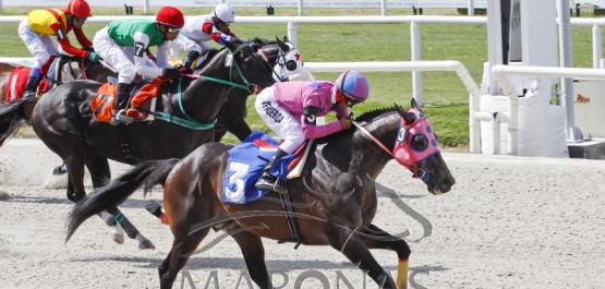 Domingo 18 de febrero de 2018 - Hipódromo Nacional de Maroñas