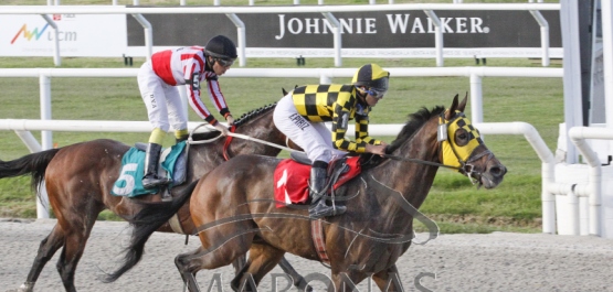 Viernes 23 de febrero de 2018 - Hipódromo Nacional de Maroñas