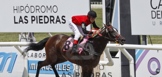 Sábado 24 de febrero de 2018 - Hipódromo Las Piedras