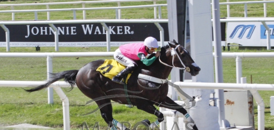 Domingo 25 de febrero de 2018 - Hipódromo Nacional de Maroñas