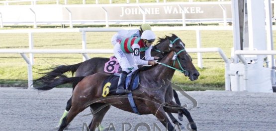 Viernes 2 de marzo de 2018 - Hipódromo Nacional de Maroñas