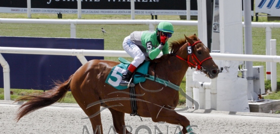 Domingo 11 de marzo de 2018 - Hipódromo Nacional de maroñas