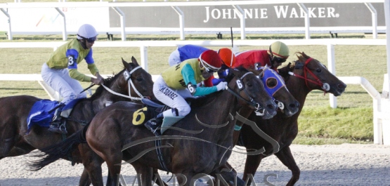 Viernes 16 de marzo de 2018 - Hipódromo Nacional de Maroñas