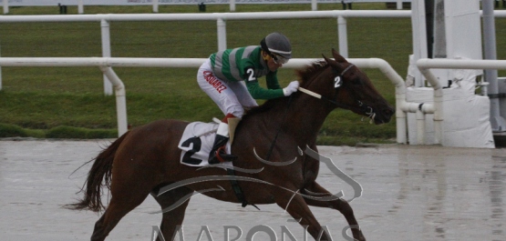 Domingo 18 de marzo de 2018 - Hipódromo Nacional de Maroñas