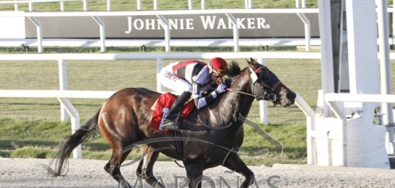 Viernes 23 de marzo de 2018 - Hipódromo Nacional de Maroñas