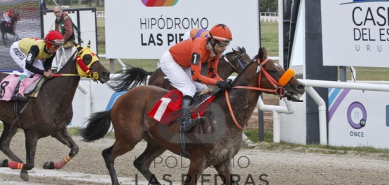 Domingo 25 de marzo de 2018 - Hipódromo Las Piedras