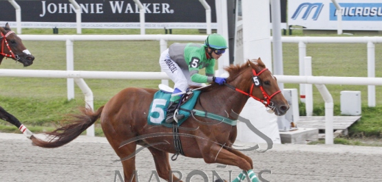 Domingo 1º de abril de 2018 - Hipódromo Nacional de Maroñas