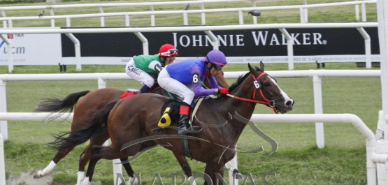 Domingo 8 de abril de 2018 - Hipódromo Nacional de Maroñas