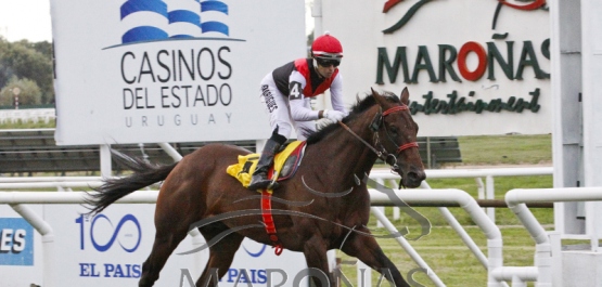 Viernes 13 de abril de 2018 - Hipódromo Nacional de Maroñas