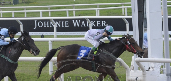 Viernes 20 de abril de 2018 - Hipódromo Nacional de Maroñas