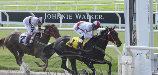 Domingo 22 de abril de 2018 - Hipódromo Nacional de Maroñas