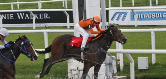 Domingo 29 de abril de 2018 - Hipódromo Nacional de Maroñas