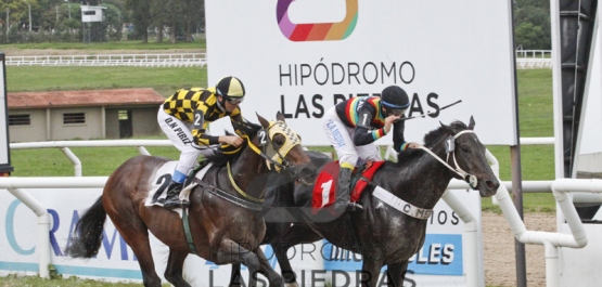 Sábado 5 de mayo de 2018 - Hipódromo Las Piedras