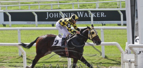 Domingo 6 de mayo de 2018 - Hipódromo Nacional de Maroñas