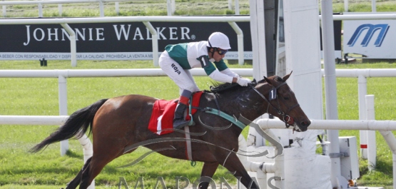 Domingo 13 de mayo de 2018 - Hipódromo Nacional de Maroñas