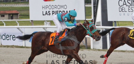 GRAN PREMIO UBALDO SERÉ