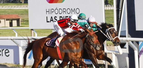 GRAN PREMIO BATALLA DE LAS PIEDRAS