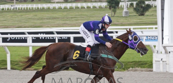 Sábado 19 de mayo de 2018 - Hipódromo Nacional de Maroñas