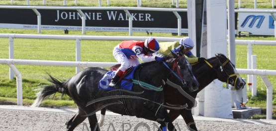 Domingo 20 de mayo de 2018 - Hipódromo Nacional de Maroñas