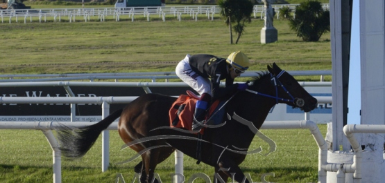 Viernes 25 de mayo de 2018 - Hipódromo Nacional de Maroñas