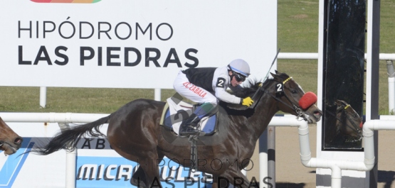 Sábado 26 de mayo de 2018 - Hipódromo Las Piedras