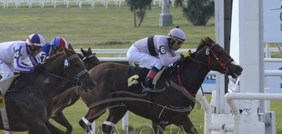 Domingo 27 de mayo de 2018 - Hipódromo Nacional de Maroñas