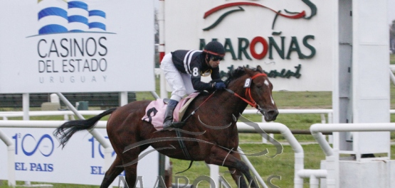 CLÁSICO CAMPEONES MILE TURF - COPA CODERE