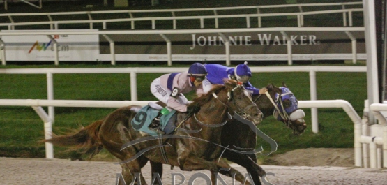 CLÁSICO CAMPEONES SPRINT - COPA CONECTARTE