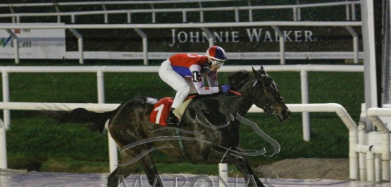 Viernes 1º de junio de 2018 - Hipódromo Nacional de Maroñas