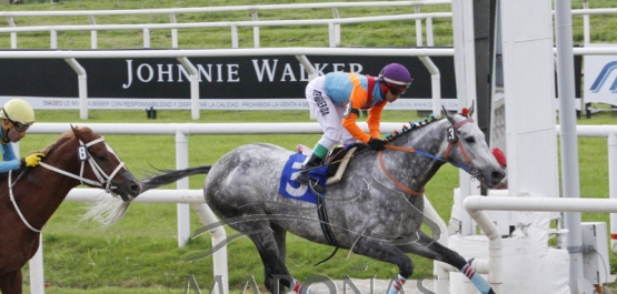 Domingo 3 de junio de 2018 - Hipódromo Nacional de Maroñas