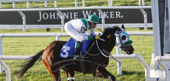 Viernes 8 de junio de 2018 - Hipódromo Nacional de Maroñas