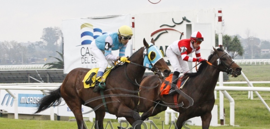 Domingo 10 de junio de 2018 - Hipódromo Nacional de Maroñas