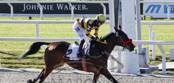 Domingo 17 de junio de 2018 - Hipódromo Nacional de Maroñas