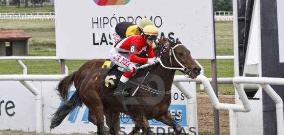 Sábado 16 de junio de 2018 - Hipódromo Las Piedras