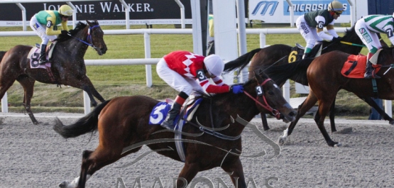 Sábado 23 de junio de 2018 - Hipódromo Nacional de Maroñas