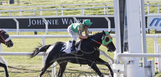 Domingo 24 de junio de 2018 - Hipódromo Nacional de Maroñas