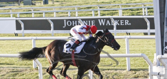 CLÁSICO REAPERTURA HIPÓDROMO NACIONAL DE MAROÑAS